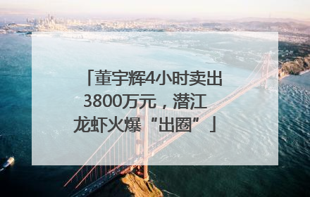 董宇辉4小时卖出3800万元，潜江龙虾火爆“出圈”