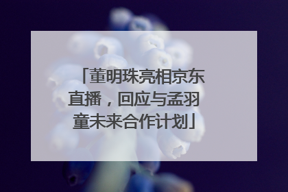 董明珠亮相京东直播，回应与孟羽童未来合作计划