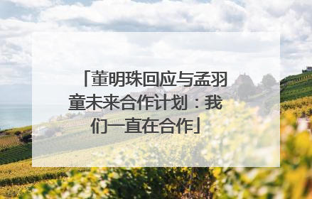 董明珠回应与孟羽童未来合作计划：我们一直在合作