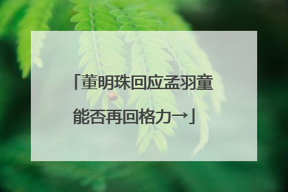 董明珠回应孟羽童能否再回格力→