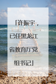 许振宇，已任黑龙江省教育厅党组书记