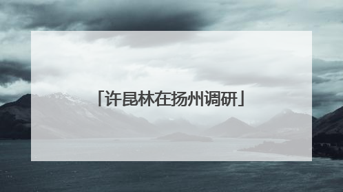许昆林在扬州调研