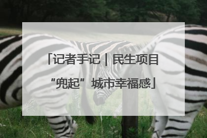 记者手记｜民生项目“兜起”城市幸福感