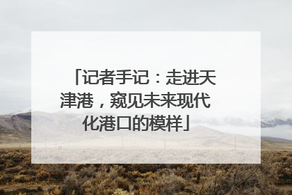 记者手记：走进天津港，窥见未来现代化港口的模样
