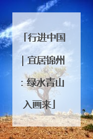 行进中国｜宜居锦州：绿水青山入画来