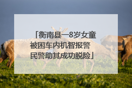 衡南县一8岁女童被困车内机智报警 民警助其成功脱险
