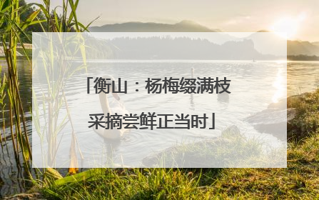 衡山：杨梅缀满枝 采摘尝鲜正当时