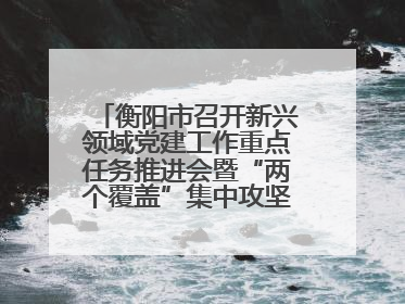 衡阳市召开新兴领域党建工作重点任务推进会暨“两个覆盖”集中攻坚工作专班 第一次会议