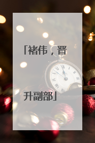 褚伟，晋升副部