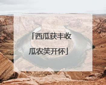 西瓜获丰收 瓜农笑开怀