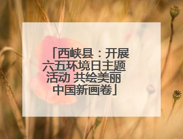 西峡县：开展六五环境日主题活动 共绘美丽中国新画卷