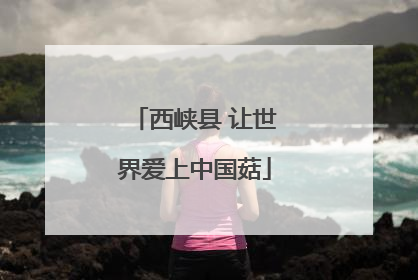 西峡县 让世界爱上中国菇