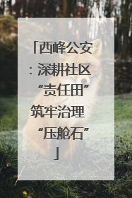 西峰公安：深耕社区“责任田” 筑牢治理“压舱石”