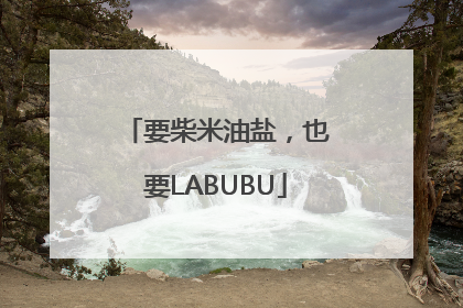 要柴米油盐，也要LABUBU
