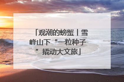 观潮的螃蟹丨雪峰山下“一粒种子”撬动大文旅