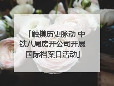 触摸历史脉动 中铁八局房开公司开展国际档案日活动