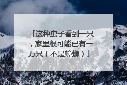 这种虫子看到一只，家里很可能已有一万只（不是蟑螂）