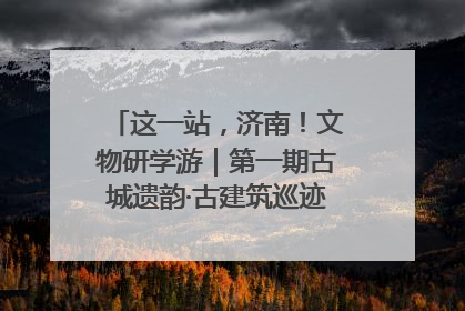 这一站，济南！文物研学游｜第一期古城遗韵·古建筑巡迹之旅圆满结束