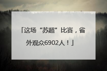 这场“苏超”比赛，省外观众6902人！