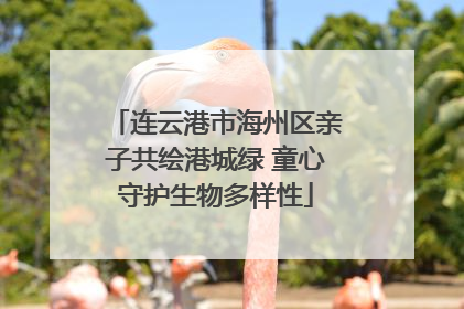 连云港市海州区亲子共绘港城绿 童心守护生物多样性
