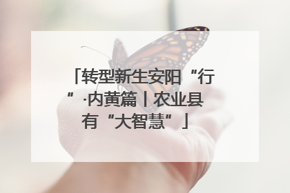 转型新生安阳“行”·内黄篇丨农业县有“大智慧”