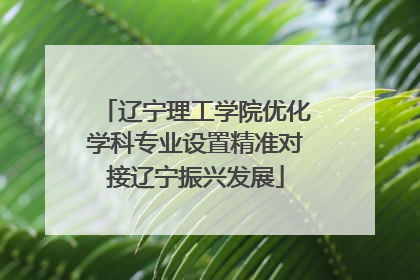 辽宁理工学院优化学科专业设置精准对接辽宁振兴发展