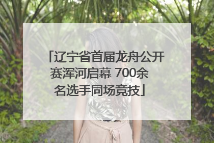 辽宁省首届龙舟公开赛浑河启幕 700余名选手同场竞技