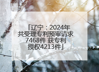 辽宁：2024年共受理专利预审请求7468件 获专利授权4213件