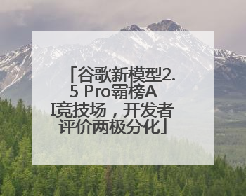 谷歌新模型2.5 Pro霸榜AI竞技场，开发者评价两极分化