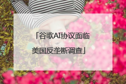 谷歌AI协议面临美国反垄断调查