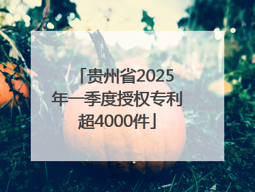 贵州省2025年一季度授权专利超4000件