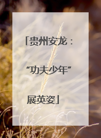 贵州安龙：“功夫少年”展英姿