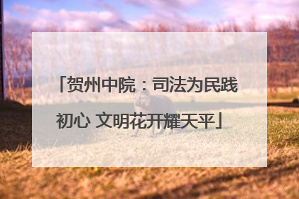 贺州中院：司法为民践初心 文明花开耀天平