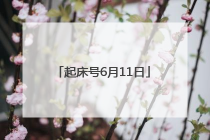 起床号6月11日