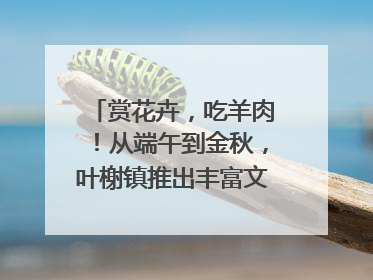赏花卉，吃羊肉！从端午到金秋，叶榭镇推出丰富文旅活动邀您爽玩