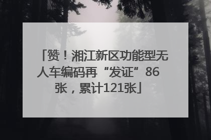 赞！湘江新区功能型无人车编码再“发证”86张，累计121张