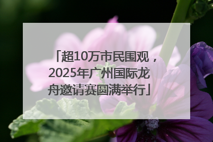 超10万市民围观，2025年广州国际龙舟邀请赛圆满举行