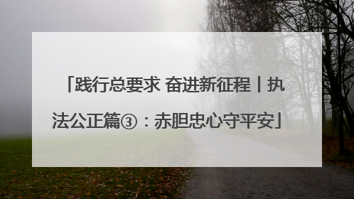 践行总要求 奋进新征程丨执法公正篇③：赤胆忠心守平安