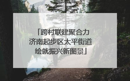 跨村联建聚合力 济南起步区太平街道绘就振兴新图景