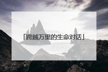跨越万里的生命对话