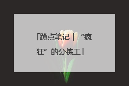 蹲点笔记｜“疯狂”的分拣工