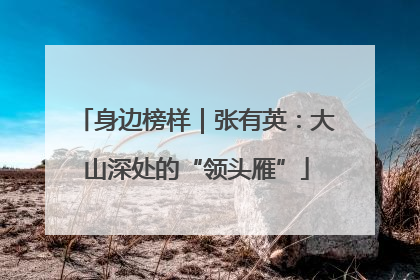 身边榜样｜张有英：大山深处的“领头雁”