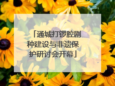 通城打锣腔剧种建设与非遗保护研讨会开幕