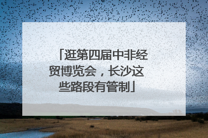 逛第四届中非经贸博览会，长沙这些路段有管制