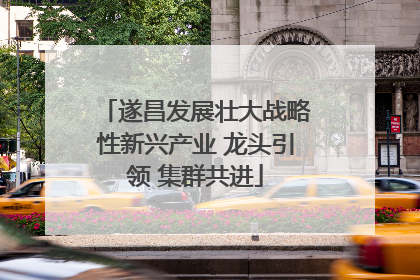 遂昌发展壮大战略性新兴产业 龙头引领 集群共进