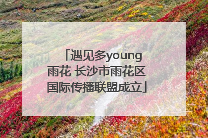 遇见多young雨花 长沙市雨花区国际传播联盟成立