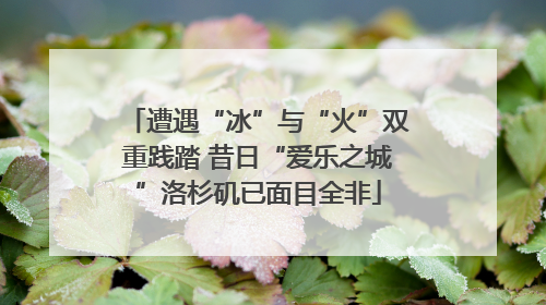 遭遇“冰”与“火”双重践踏 昔日“爱乐之城”洛杉矶已面目全非