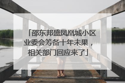 邵东邦盛凤凰城小区业委会筹备十年未果，相关部门回应来了