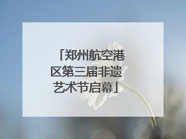 郑州航空港区第三届非遗艺术节启幕