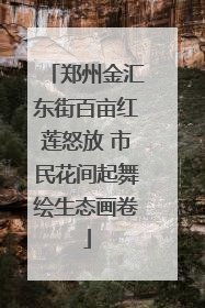 郑州金汇东街百亩红莲怒放 市民花间起舞绘生态画卷